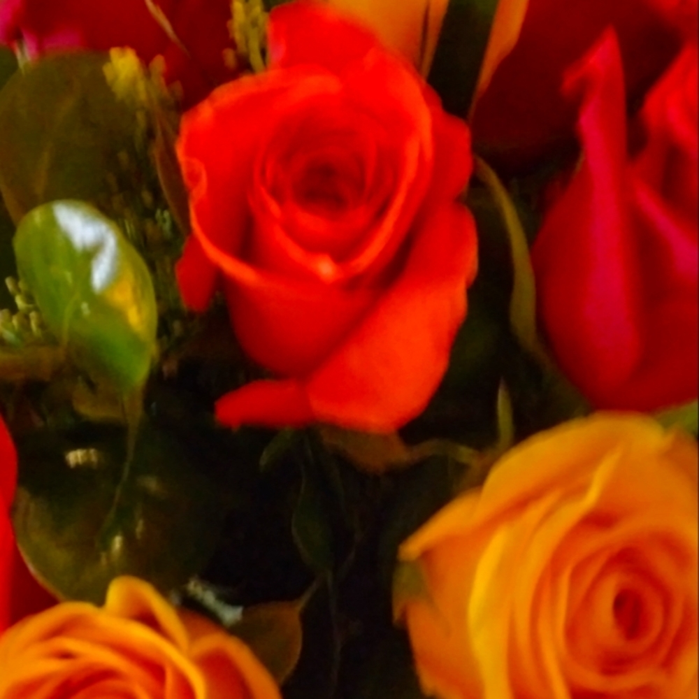 Meet your Posher, Gina